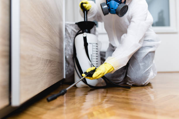 Best Pest Control for Businesses  in Timpson, TX