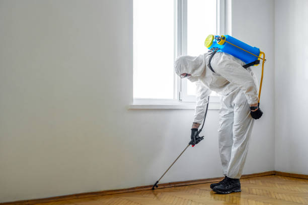 Best Best Pest Control Companies  in Timpson, TX