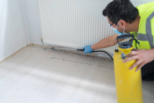 Best Residential Pest Control  in Timpson, TX