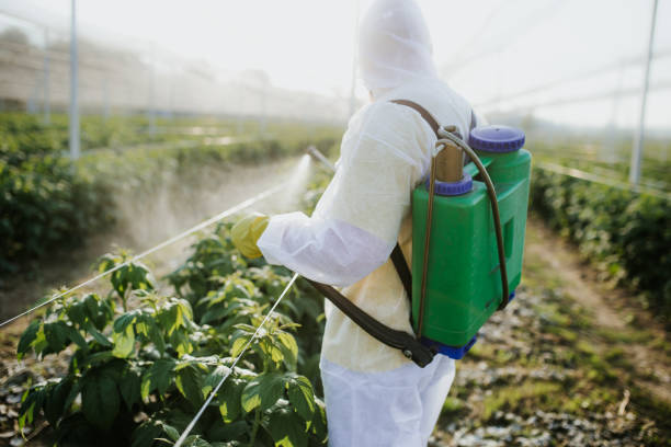 Best Flea Control Services  in Timpson, TX